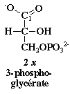 3 phosphoglycerate