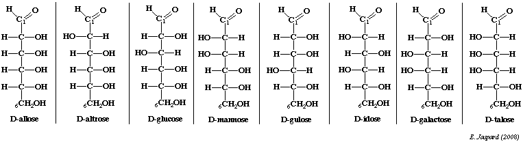 Serie aldohexose methylation diholoside haworth heteroside glucide ose sucre sugar fischer glucose furanose pyranose mutarotation carbohydrate maltose starch amylose glycogen glycoprotein biochimej