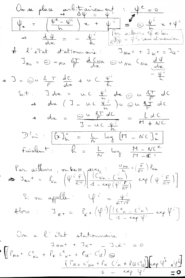 transport membrane equation Goldman