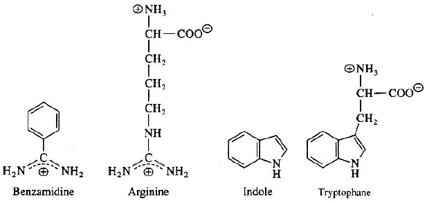 Exemples d'inhibiteurs competitifs de protease a serine 