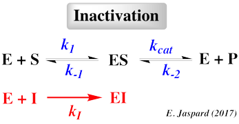 Enzymologie enzymology active site inhibitor inhibiteur non competitif incompetitif uncompetitif inactivation exces substrat rate equation DFP PMSF biochimej