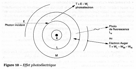 Effet photoelectrique Radioprotection Interaction rayonnement ionisant matiere biochimej