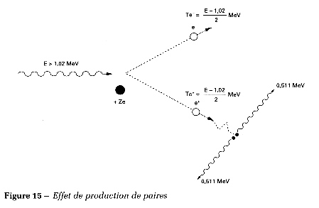 Cours Interaction Rayonnement Ionisant Matiere Radioactivite Enseignement Recherche Biochimie Enzymologie Bioinformatique Emmanuel Jaspard Universite Angers Biochimej