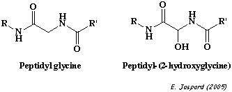 biochimej peptidylglycine