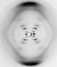biochimej diffraction rayon X ray
