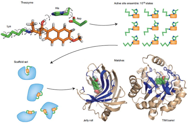 biochimej demarche rosetta de novo protein design