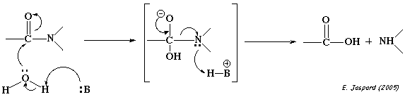 Lysozyme catalyse acide base carbanion general carbocation chaise acetylmuramique biochimej
