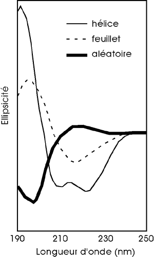 Dichroisme circulaire secondary structure secondaire protein helice alpha helix feuillet beta strand sheet biochimej