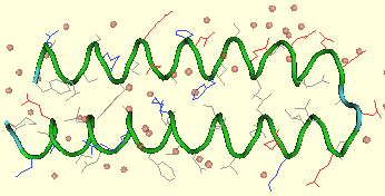 structure tridimensionelle proteine secondary structure secondaire protein helice alpha helix feuillet beta strand sheet biochimej