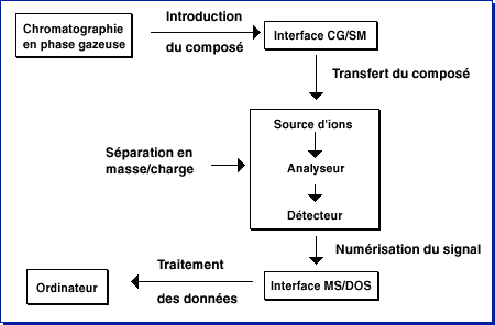 Spectrometrie masse biophysique electron ionisation proteomique sequence biochimej