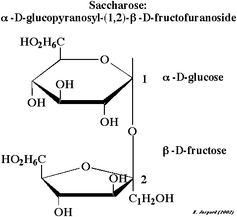 alpha beta isomere glucose amidon glycogene saccharose ose glucide biochimej