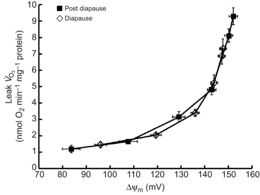 mitochondrie mitochondria transport membrane membranaire actif flux gradient potentiel potential electrochimique chimique proton leak transmembranaire diapause dehydration TPMP methyltriphenylphosphonium triphenylmethylphosphonium biochimej