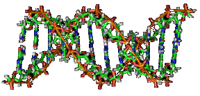 Biologie cellulaire ADN acide nucleique Methode macromolecule proteine compartiment eucaryote procaryote organite cellule biochimej