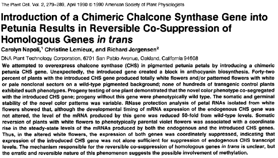 chalcone synthase petunia suppresion gene signalisation recepteur RCPG phosphorylation calmoduline metabolisme energie energetique glucose PKF glycolyse metabolomique metabolomics sequence alignment RNAi interference ARN biochimej