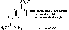 structure chlorure dansyle biochimej