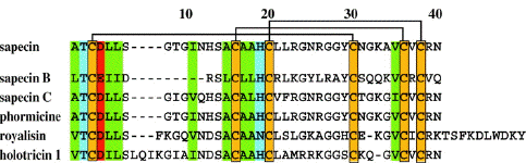 sapecine defensine alignement sequence acide amine purification protein biochimej