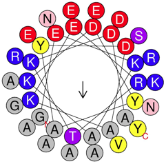 protein structure prediction bioinformatique bioinformatics domain sequence motif helix hydrophobicity hydropathy hydrophilicity amino acid amine biochimej