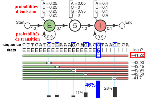 protein structure prediction macromolecule bioinformatique bioinformatics hmmer alignement alignment matrice profil score sequence motif amino acid amine HMM hidden markov model famille family biochimej