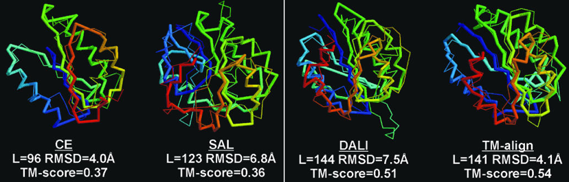 protein structure superposition prediction macromolecule bioinformatique bioinformatics sequence motif domain amino acid amine homologie homology modeling comparison comparaison score distance DALI RMSD TM GDT biochimej