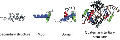 protein structure prediction macromolecule bioinformatique bioinformatics  sequence domain fold famille superfamille motif signature profile fingerprint biochimej