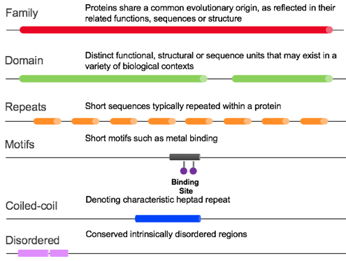 protein structure prediction macromolecule bioinformatique bioinformatics sequence motif signature profile pfam hmm matrice score alignement alignment domain famille family clan biochimej