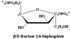 fructose 2,6 bis phosphate