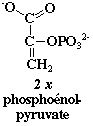 phosphoenol pyruvate