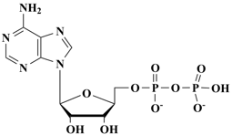 Adenosine diphosphate