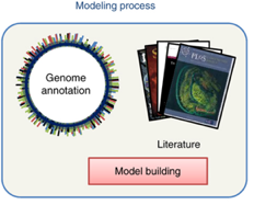 modele reconstruction metabolique echelle genome genome-scale metabolic network reconstruction modelling GENRE biochimej