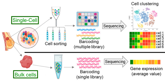 microfluidique microfluidic single cell multimodal cellule unique individualise omique omics transcriptomique transcriptomics interactomics protein enzyme biochimej