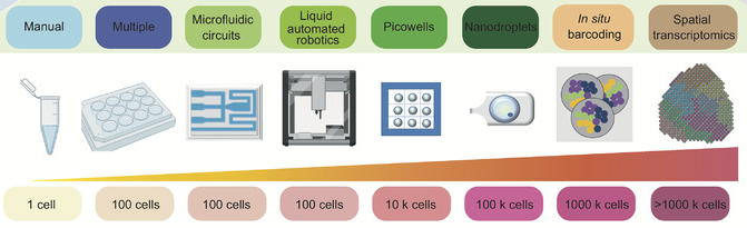 microfluidique microfluidic single cell multimodal cellule unique individualise omique omics transcriptomique transcriptomics interactomics protein enzyme biochimej