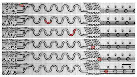 microfluidique microfluidic single cell multimodal cellule unique individualise omique omics transcriptomique transcriptomics interactomics protein enzyme biochimej