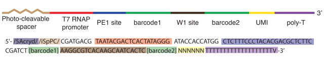 microfluidique microfluidic single cell multimodal cellule unique individualise omique omics transcriptomique transcriptomics interactomics protein enzyme biochimej