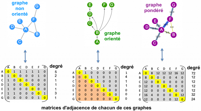 reseau network graph oriente directed weighted interaction PPI interactome interactomique interactomics network edge node noeud arete layout biochimej