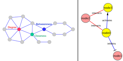 cytoscape edge node noeud arete layout network interactome interactomique PPI interactomics protein interaction biochimej