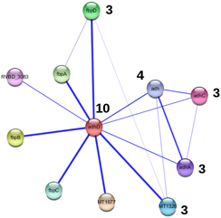 cytoscape edge node noeud arete layout network interactome interactomique PPI interactomics protein interaction biochimej