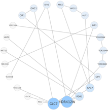 cytoscape edge node noeud arete layout circulaire radial network interactome interactomique PPI interactomics protein interaction biochimej