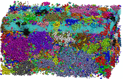 interactome interactomique interaction PPI crowded cell collision biochimej