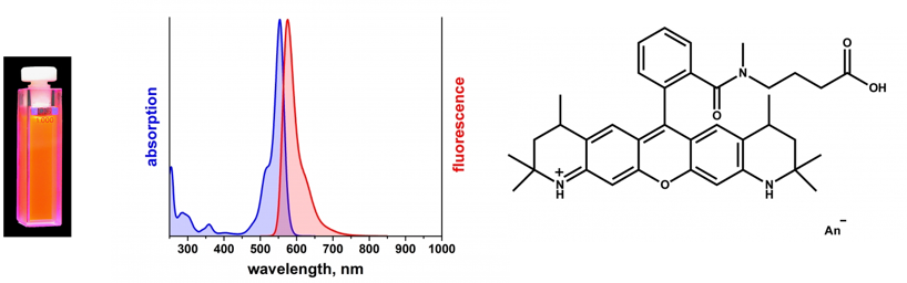 fluorescence fret smFRET single molecule emission excitation dynamique conformationnelle repliement folding biochimej