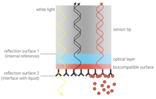 Interaction interactome interactomique interactomics PPI interferometre biocouche biolayer interferometry BLI onde lumiere biochimej