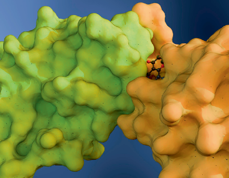 Interaction interactome interactomique interactomics PPI proximite chimiquement induite dimerisation chemically induced proximity colle moleculaire biochimej