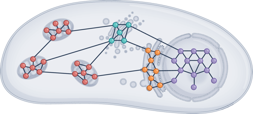 interaction proteine interactome interactomique PPI protein reseau net omics biochimej