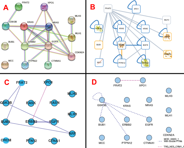 omique omics transcriptomique transcriptomics interactomics protein interaction interactomique network reseau node enzyme biochimej