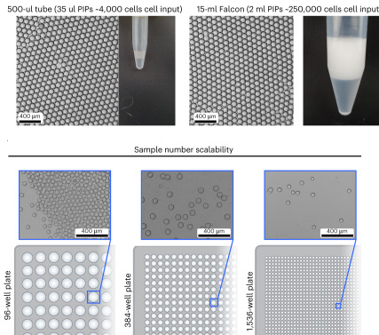 microfluidique microfluidic single cell multimodal cellule unique individualise goutelette droplet code barre barcode omique omics transcriptomique transcriptomics interactomics protein enzyme biochimej