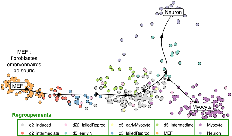 microfluidique microfluidic single cell multimodal cellule unique individualise goutelette droplet code barre barcode omique omics transcriptomique transcriptomics interactomics protein enzyme biochimej