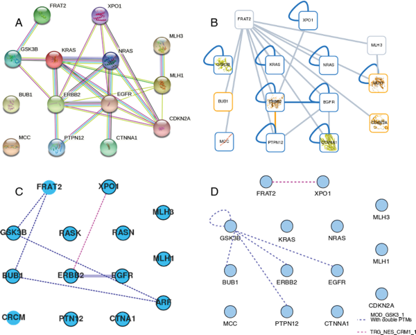 omique omics transcriptomique transcriptomics interactomics protein interaction interactomique network reseau node enzyme biochimej