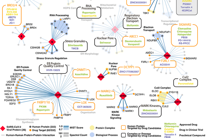 protein interaction interactomique network reseau node omique omics interactomics virus SARS biochimej