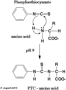 Determination sequence acide amine Edman biochimej
