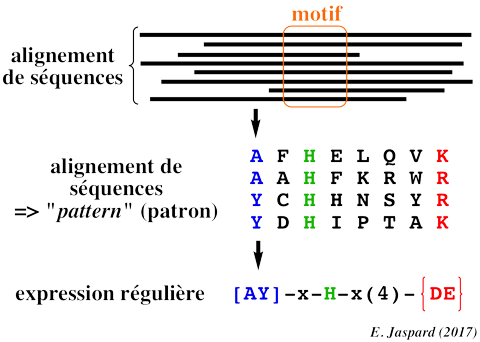 regular expression reguliere program sequence comparison local alignment similarity search BLAST PhiBlast substitution matrix PAM BLOSUM score biochimej