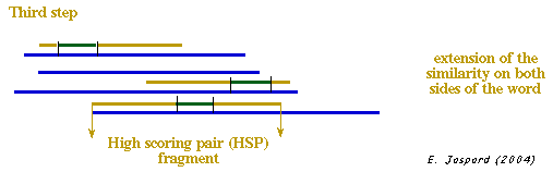 BLAST high scoring pair HSP program sequence comparison local alignment similarity search substitution matrix PAM BLOSUM biochimej